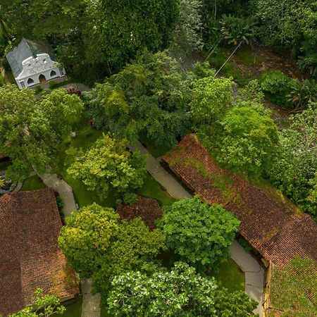 Villa Lapas Jungle Village Tárcoles Екстериор снимка