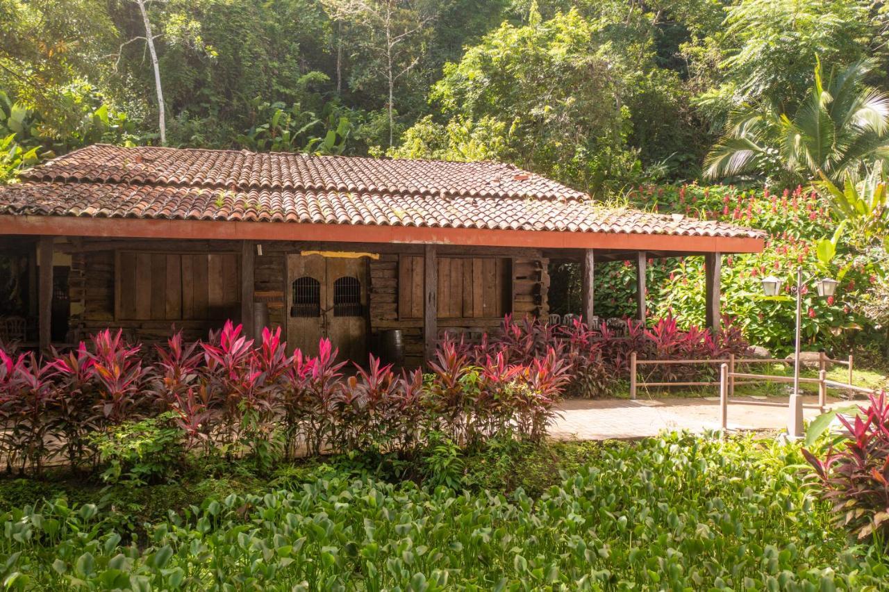 Villa Lapas Jungle Village Tárcoles Екстериор снимка