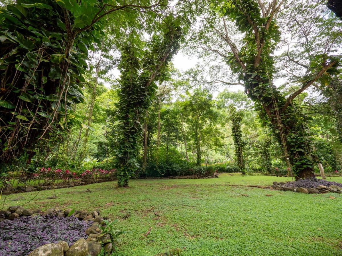 Villa Lapas Jungle Village Tárcoles Екстериор снимка