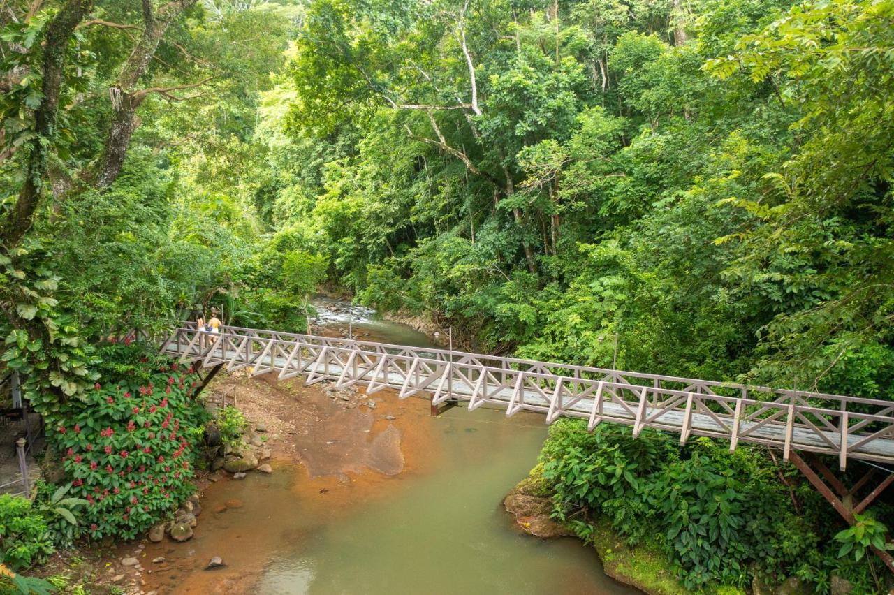 Villa Lapas Jungle Village Tárcoles Екстериор снимка