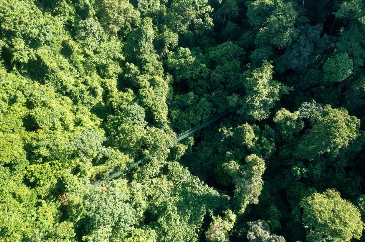 Villa Lapas Jungle Village Tárcoles Екстериор снимка