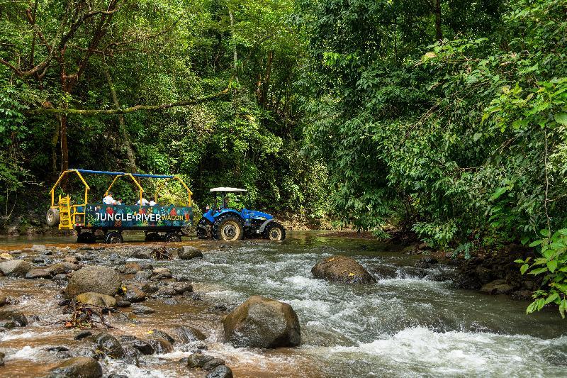 Villa Lapas Jungle Village Tárcoles Екстериор снимка