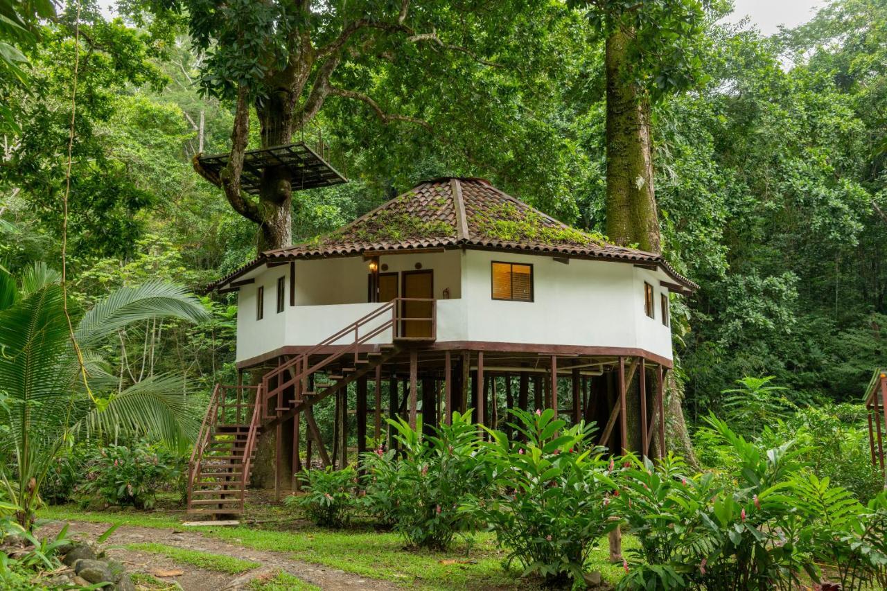 Villa Lapas Jungle Village Tárcoles Екстериор снимка