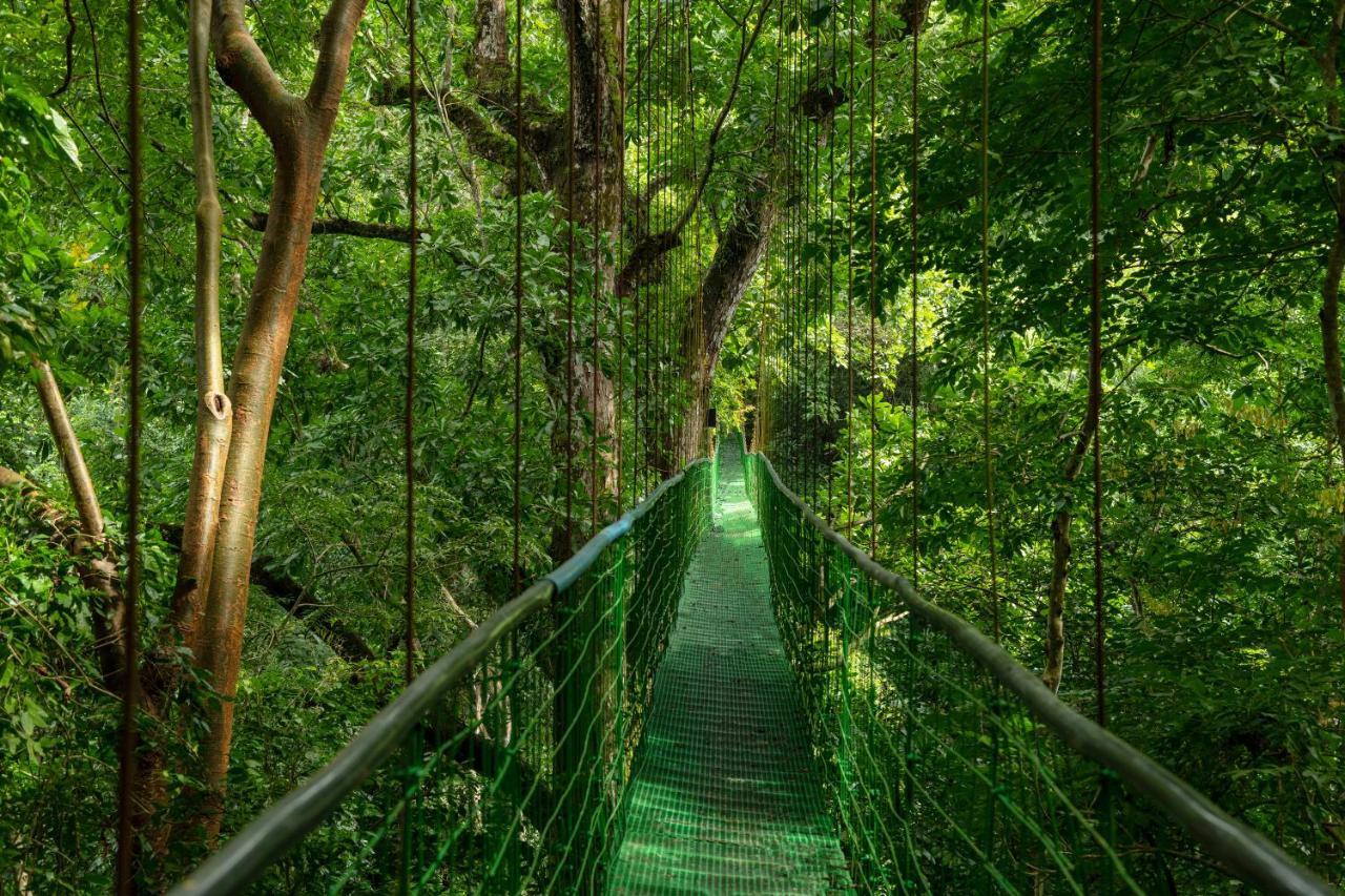 Villa Lapas Jungle Village Tárcoles Екстериор снимка