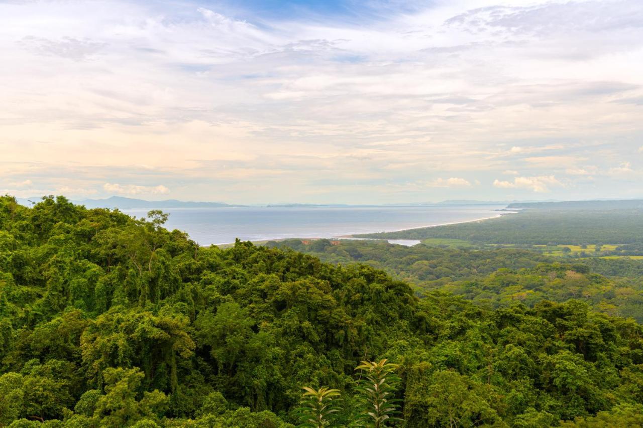 Villa Lapas Jungle Village Tárcoles Екстериор снимка