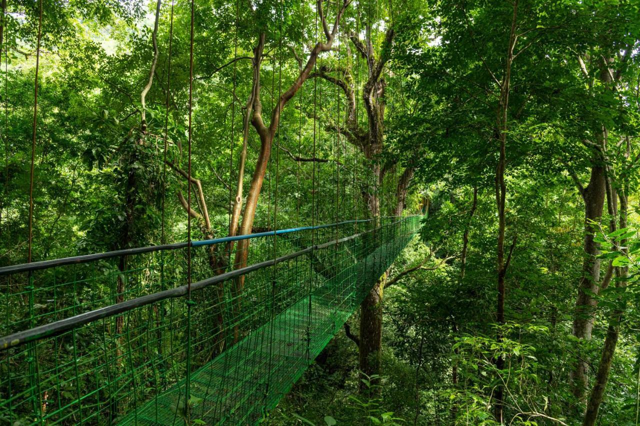 Villa Lapas Jungle Village Tárcoles Екстериор снимка