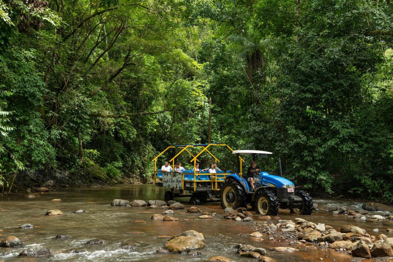 Villa Lapas Jungle Village Tárcoles Екстериор снимка